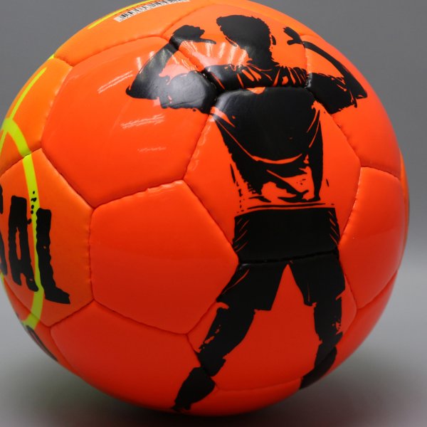 Футзальный мяч Select LEAO - ПолуПро 1093430556