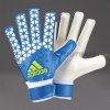 Вратарские перчатки Adidas Ace Training AH7809
