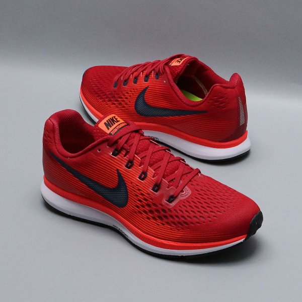 Беговые Кроссовки для бега Nike Air Zoom PEGASUS 34 880555-600