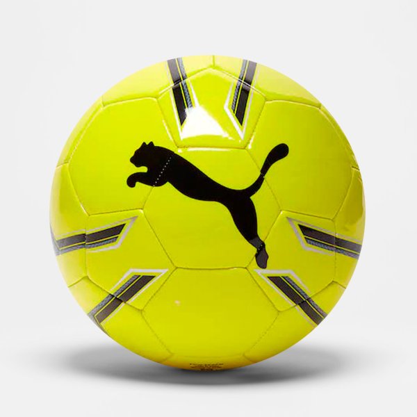 Футбольный мяч Puma Pro Training 2 MS Ball 8281904