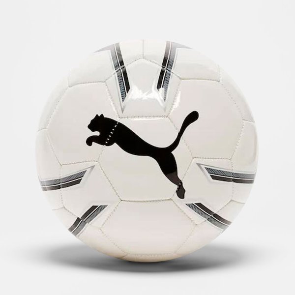 Футбольный мяч Puma Pro Training 2 MS ball 8281901