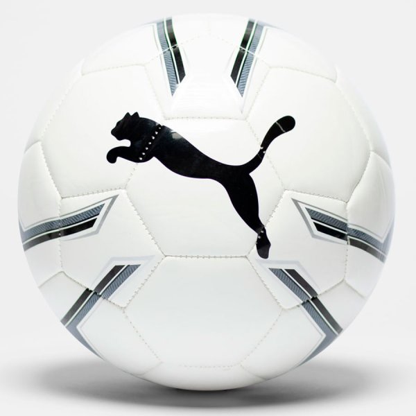 Футбольный мяч Puma Pro Training 082819-01