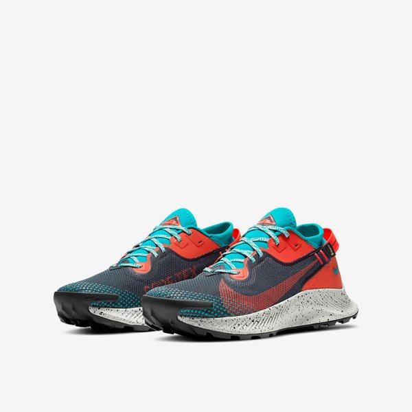 Кроссовки для бега Nike Pegasus Trail 2 GTX DH0202-001