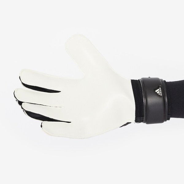 Вратарские перчатки Adidas PREDATOR 20 TRAINING FS0399 FS0399