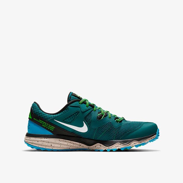 Кросівки Nike Juniper Trail CW3808-301