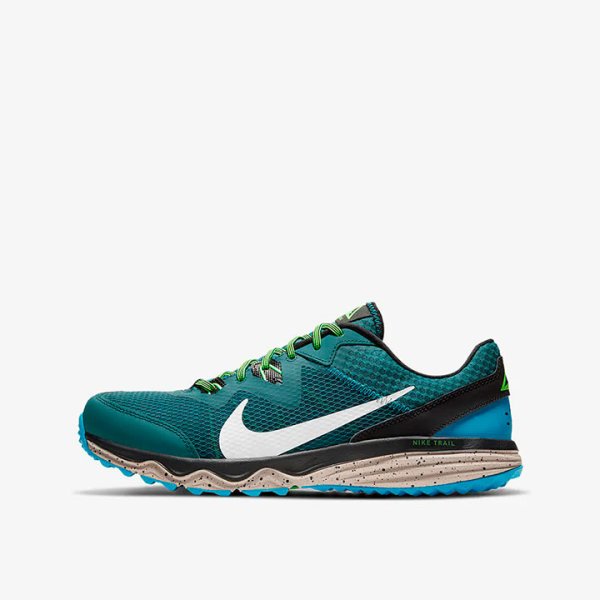 Кросівки Nike Juniper Trail CW3808-301