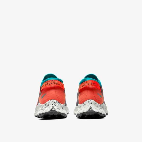 Кроссовки для бега Nike Pegasus Trail 2 GTX DH0202-001