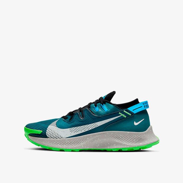 Кроссовки для бега Nike Pegasus Trail 2 CK4305-300