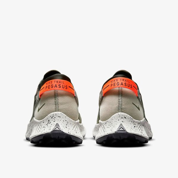 Кросівки для бігу Nike Pegasus Trail 2 CK4305-301