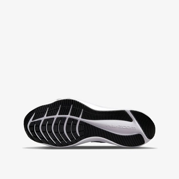 Кросівки Nike Winflo 8 CW3419-006