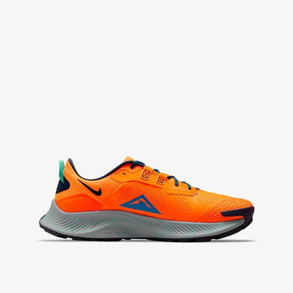 Кроссовки для бега Nike Pegasus Trail 3 DA8697-800