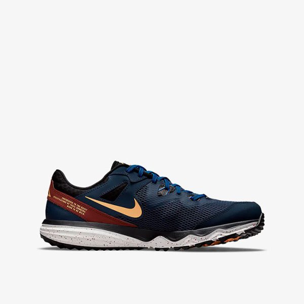 Кросівки Nike Juniper Trail CW3808-401