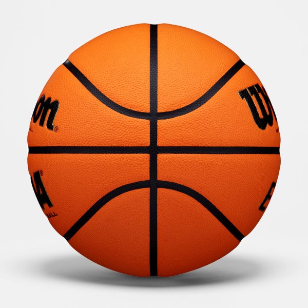 Баскетбольный мяч Wilson EVO NXT FIBA WTB0965XB WTB0965XB #2