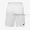Футбольные шорты Nike Park Knit Short 725887-100